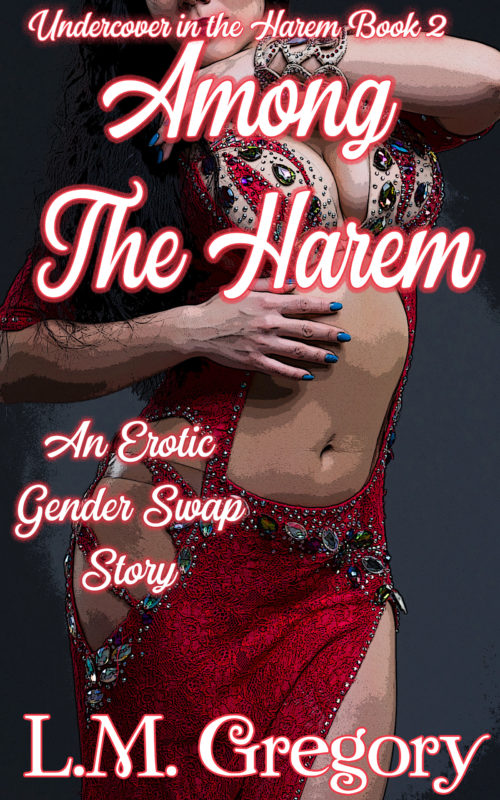 Among the Harem: An Erotic Gender Swap Story